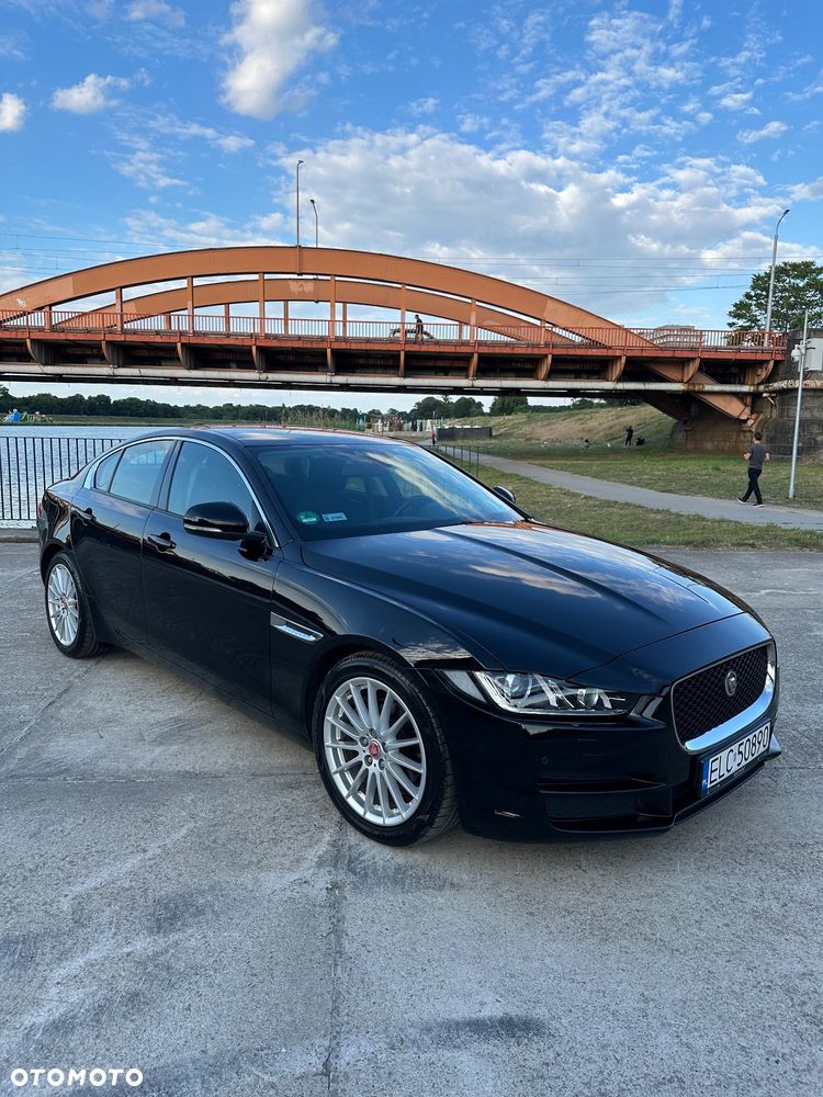 Jaguar XE E-Performance Pure - 2