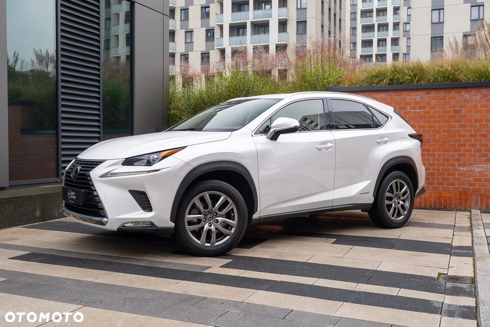 Lexus NX 300h Business Edition AWD - 21