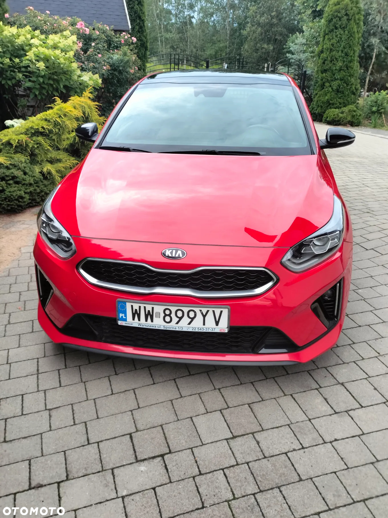 Kia ProCeed 1.4 T-GDI GT Line DCT - 18