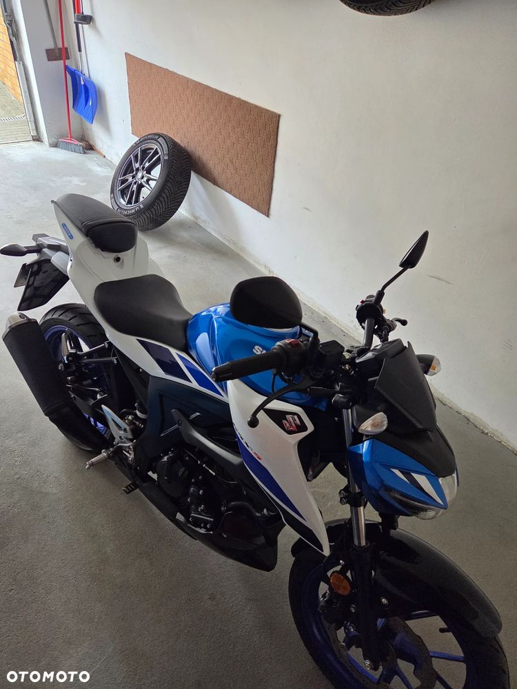 Suzuki GSX - 2
