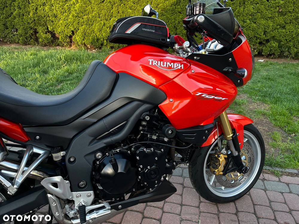 Triumph Tiger - 19