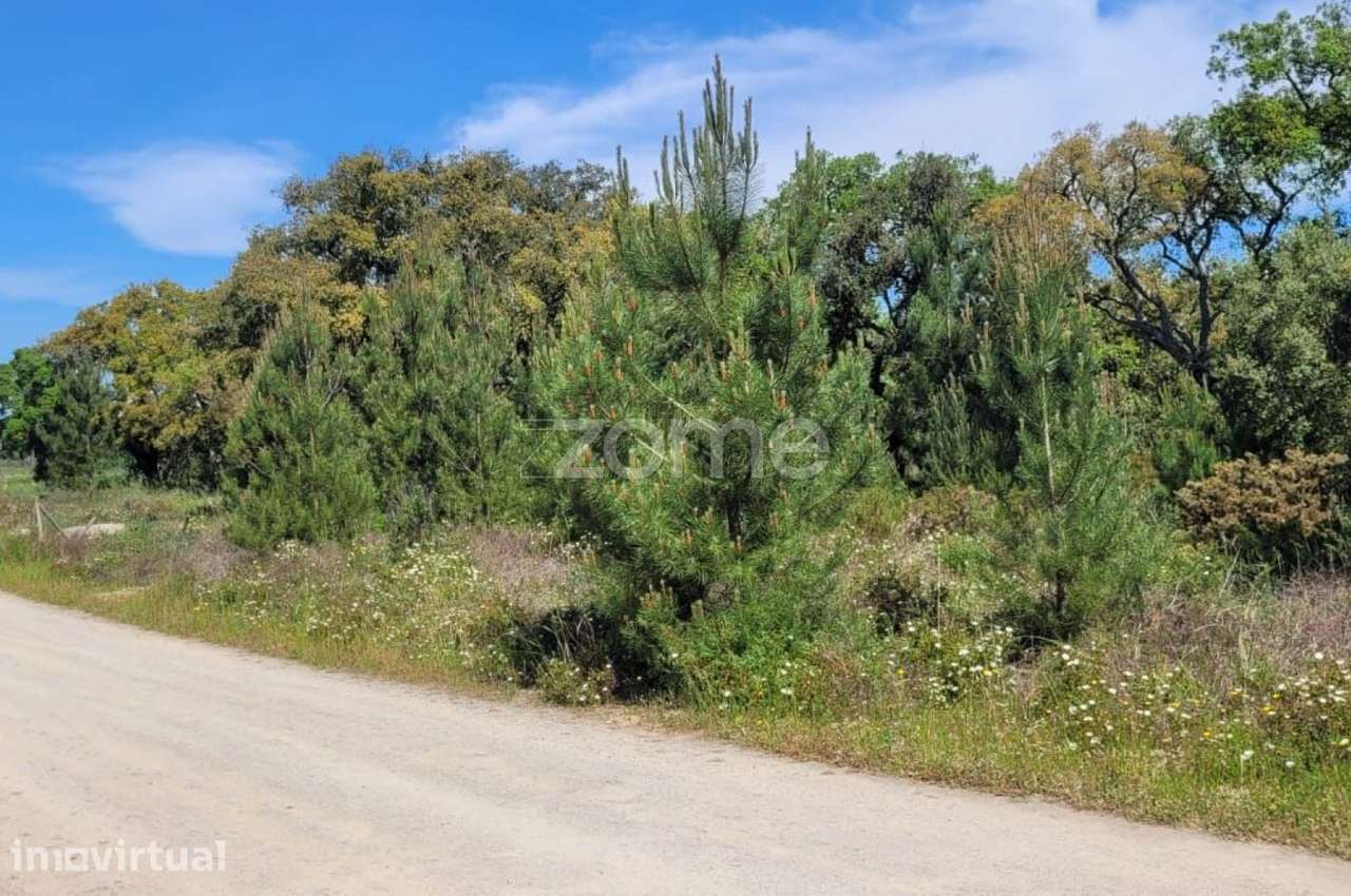 Terreno Monte do Lagarto | Lagoinha | Palmela - Grande imagem: 5/9