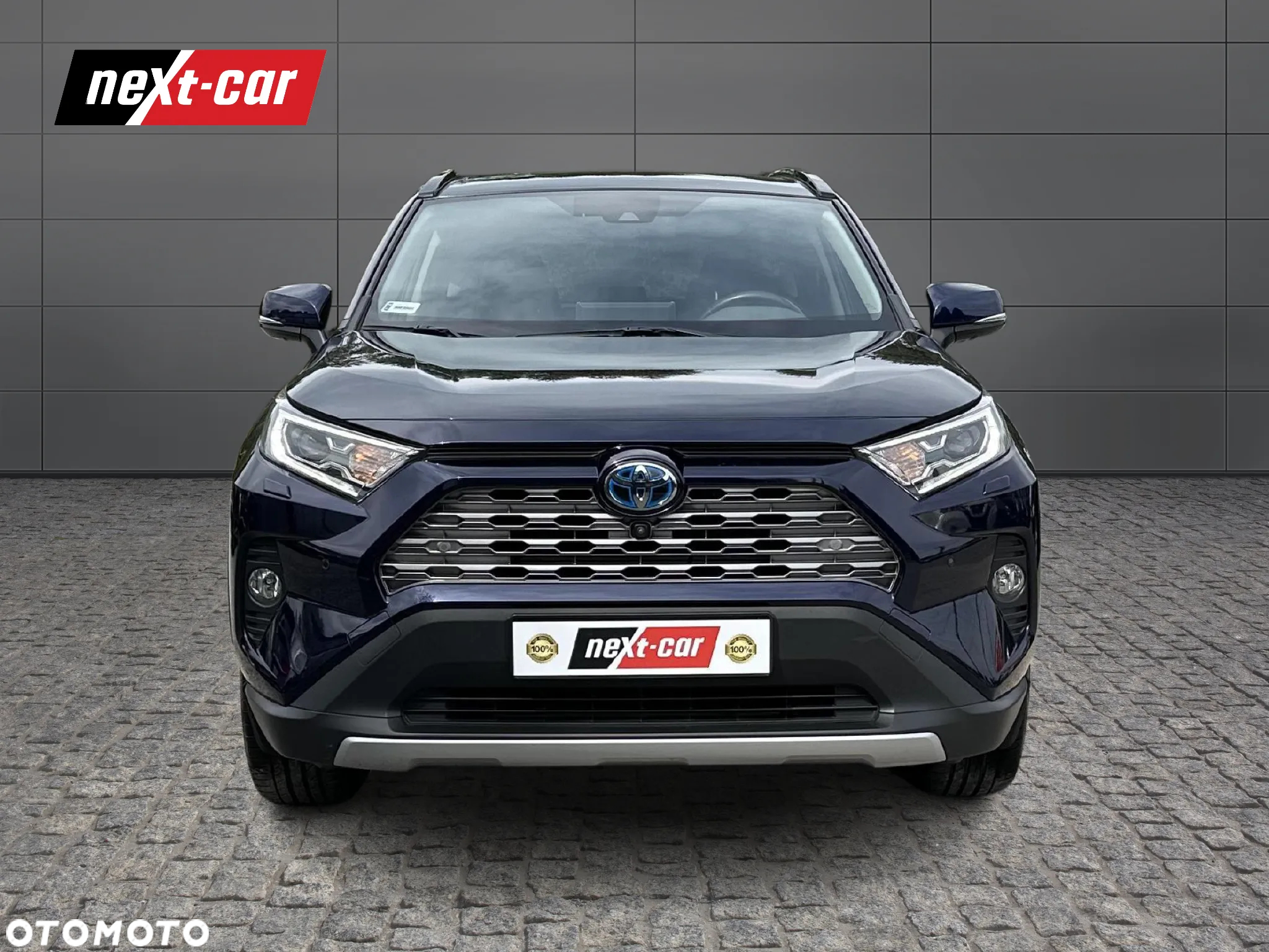 Toyota RAV4 2.5 Hybrid Executive 4x2 - 8