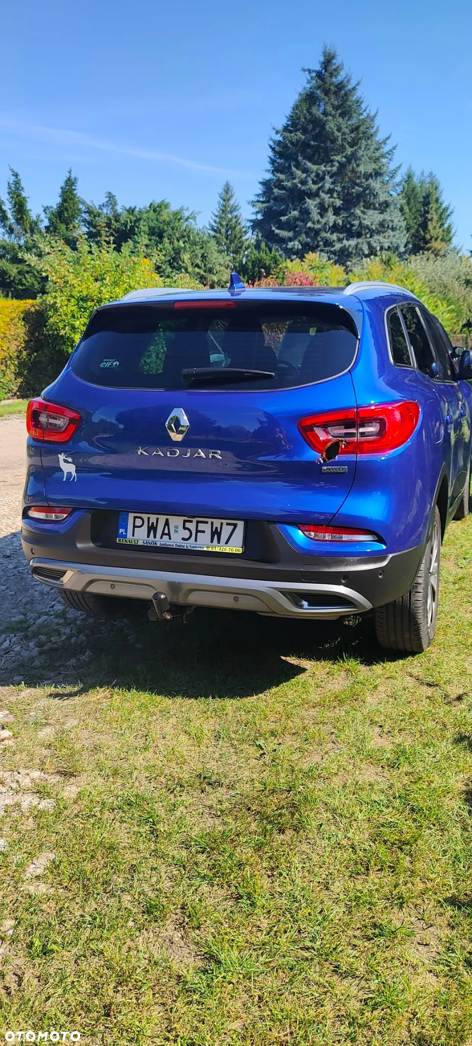 Renault Kadjar 1.7 Blue dCi Intens 4x4 - 11