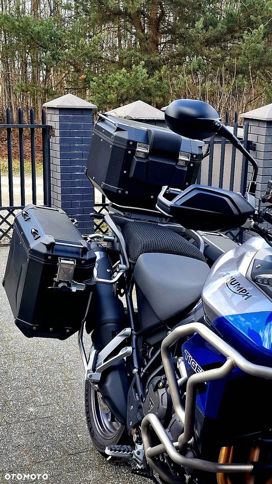 Triumph Tiger - 3