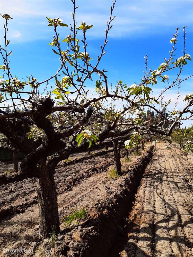 Quintinha - Grande imagem: 2/14