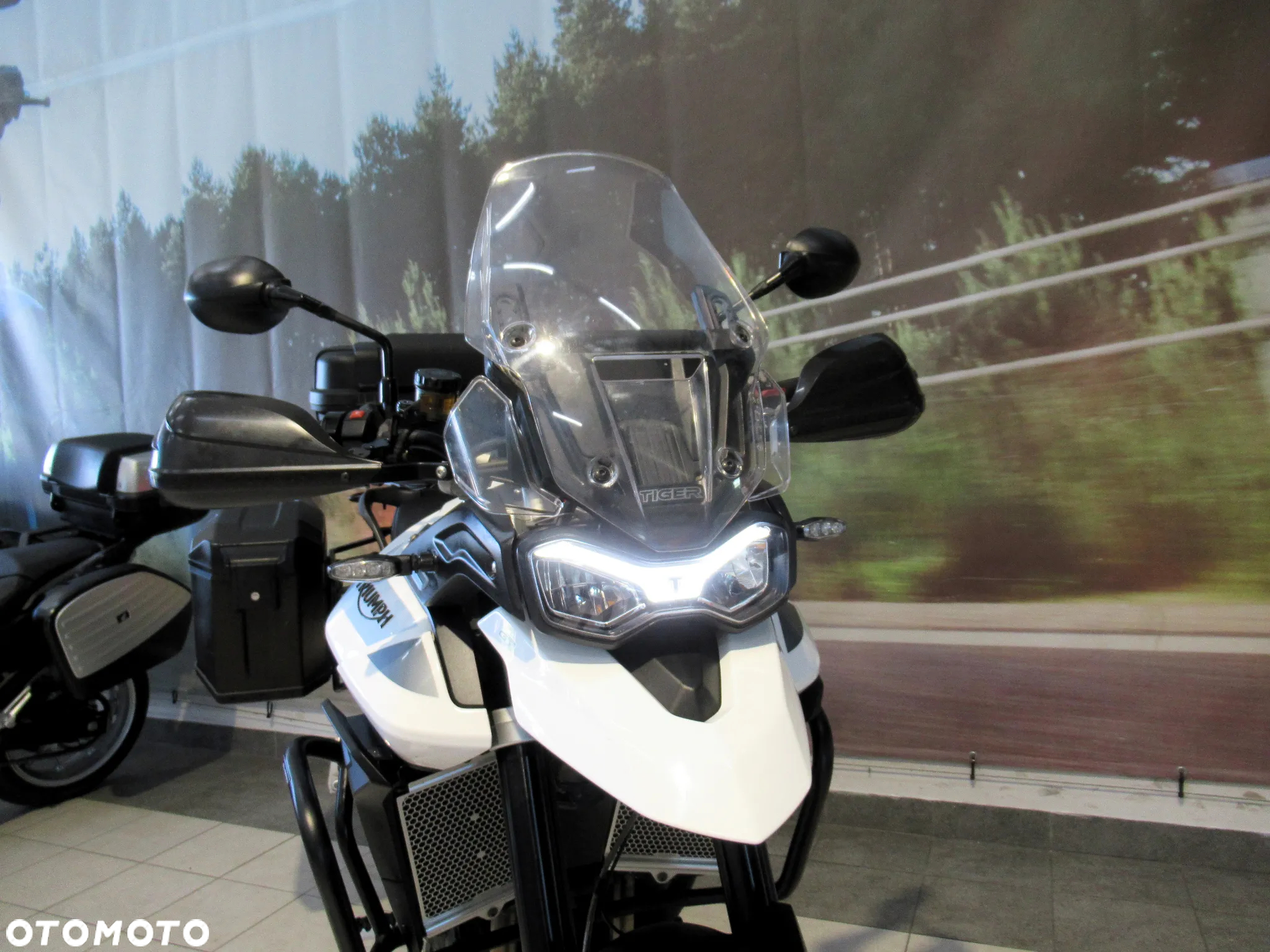 Triumph Tiger - 15