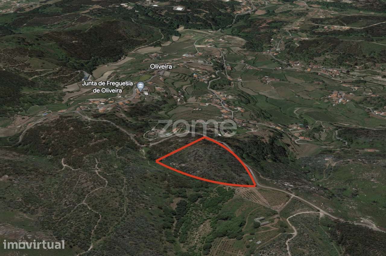 Terreno Rustico em Fonte Arcada e Oliveira 20.485m2 Povoa de Lanhoso - Grande imagem: 4/15