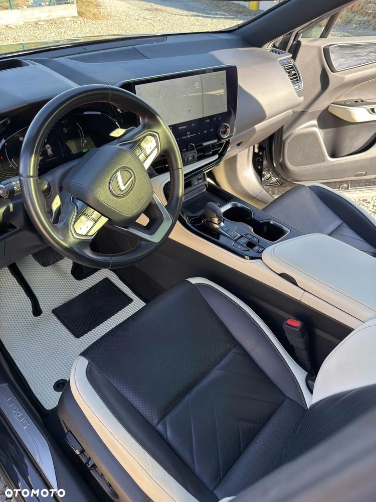 Lexus NX - 6