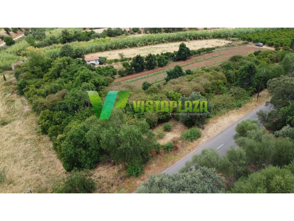 Terreno Rustico em Santo Estevão - Silves - Grande imagem: 4/28