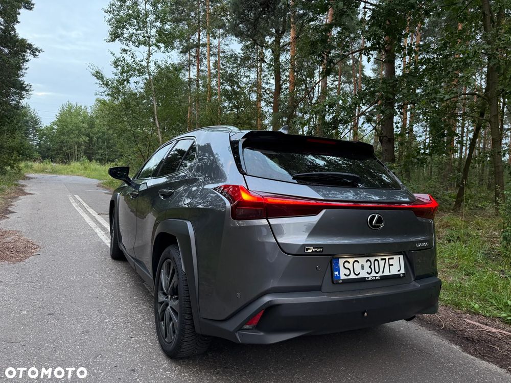 Lexus UX - 4