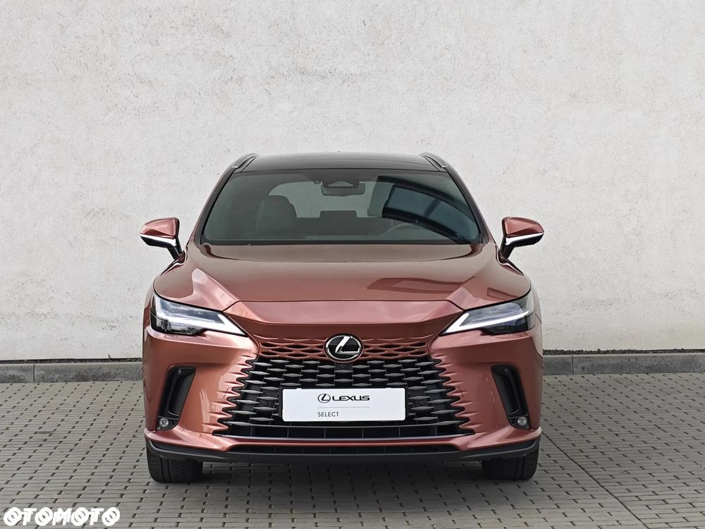 Lexus RX - 19