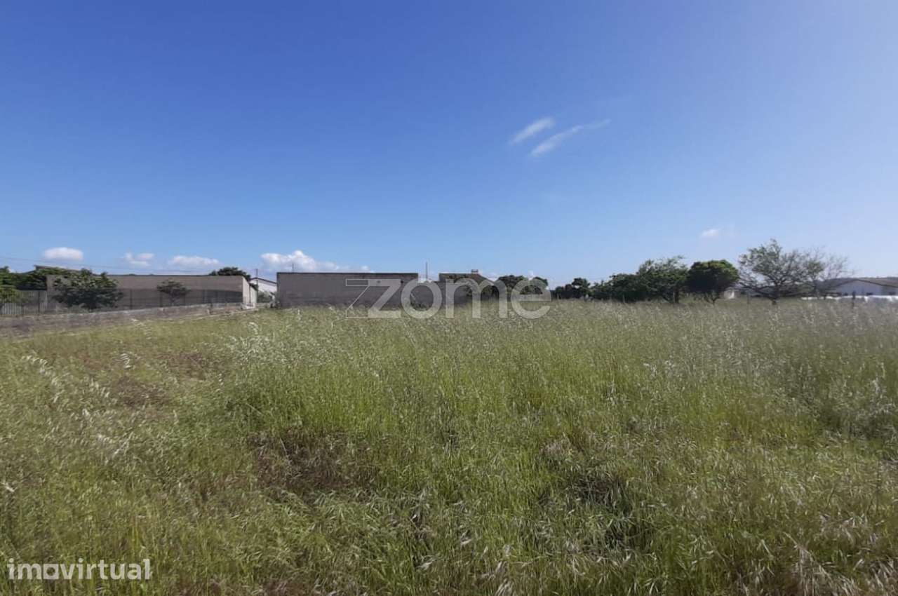 Terreno 1390 m² | Ereira | Montemor-o-Velho - Vista 6