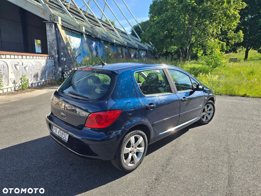 Peugeot 307 1.6 Oxygo - 7