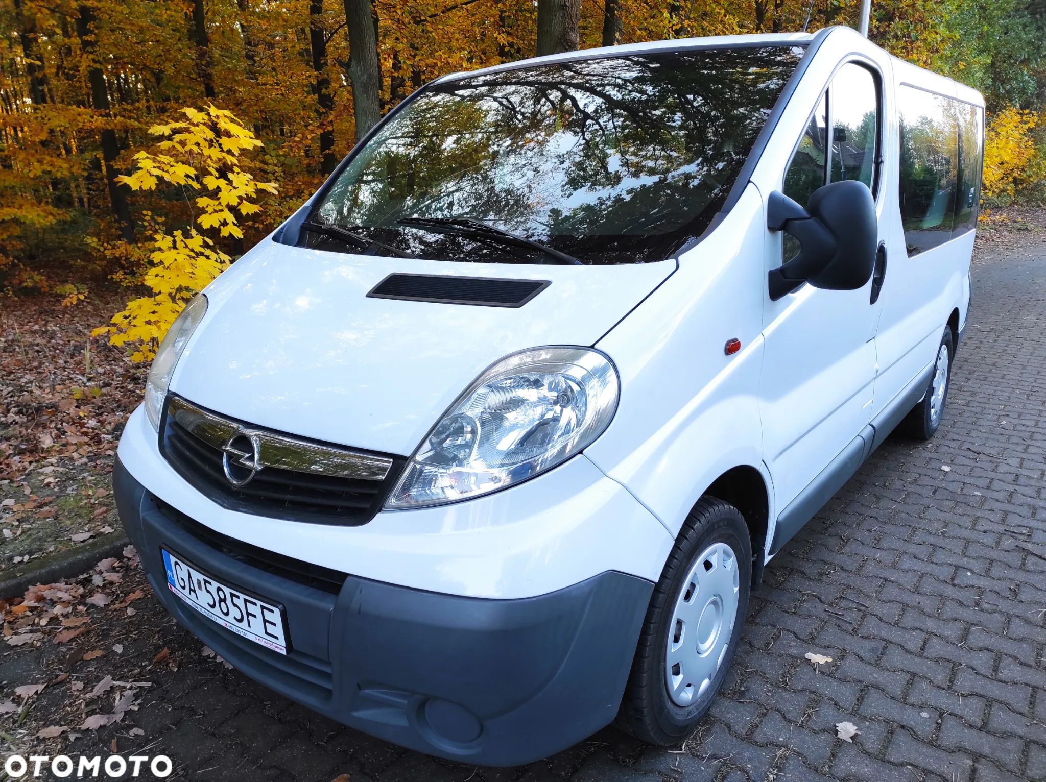 Opel Vivaro - 1