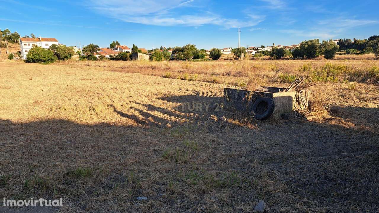 Terreno  Rústico em Riachos, Torres Novas - 4975m² - Grande imagem: 2/6