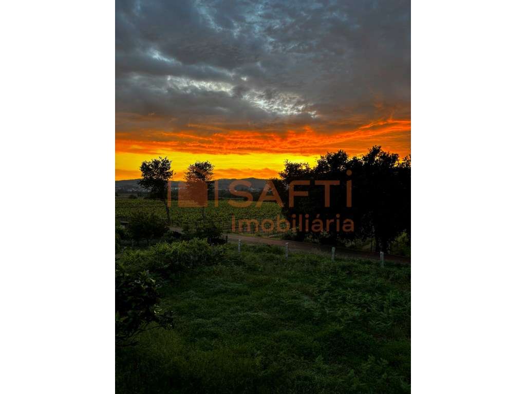 Casa em Pedra - Grande imagem: 3/23
