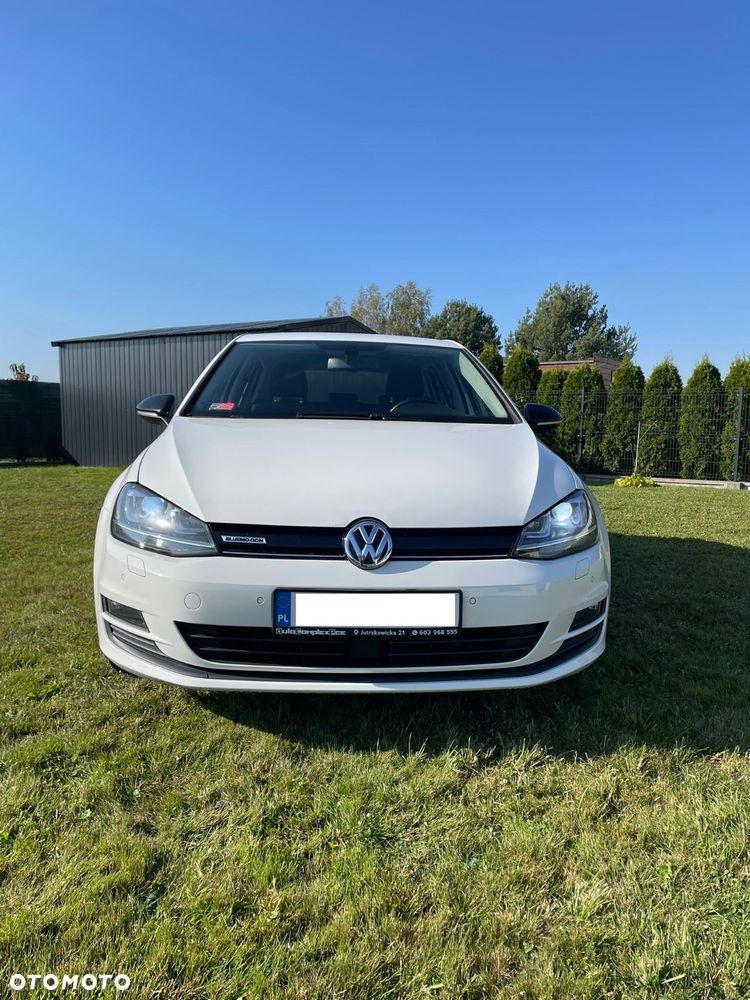 Volkswagen Golf 1.6 TDI BlueMotion Technology Trendline - 9