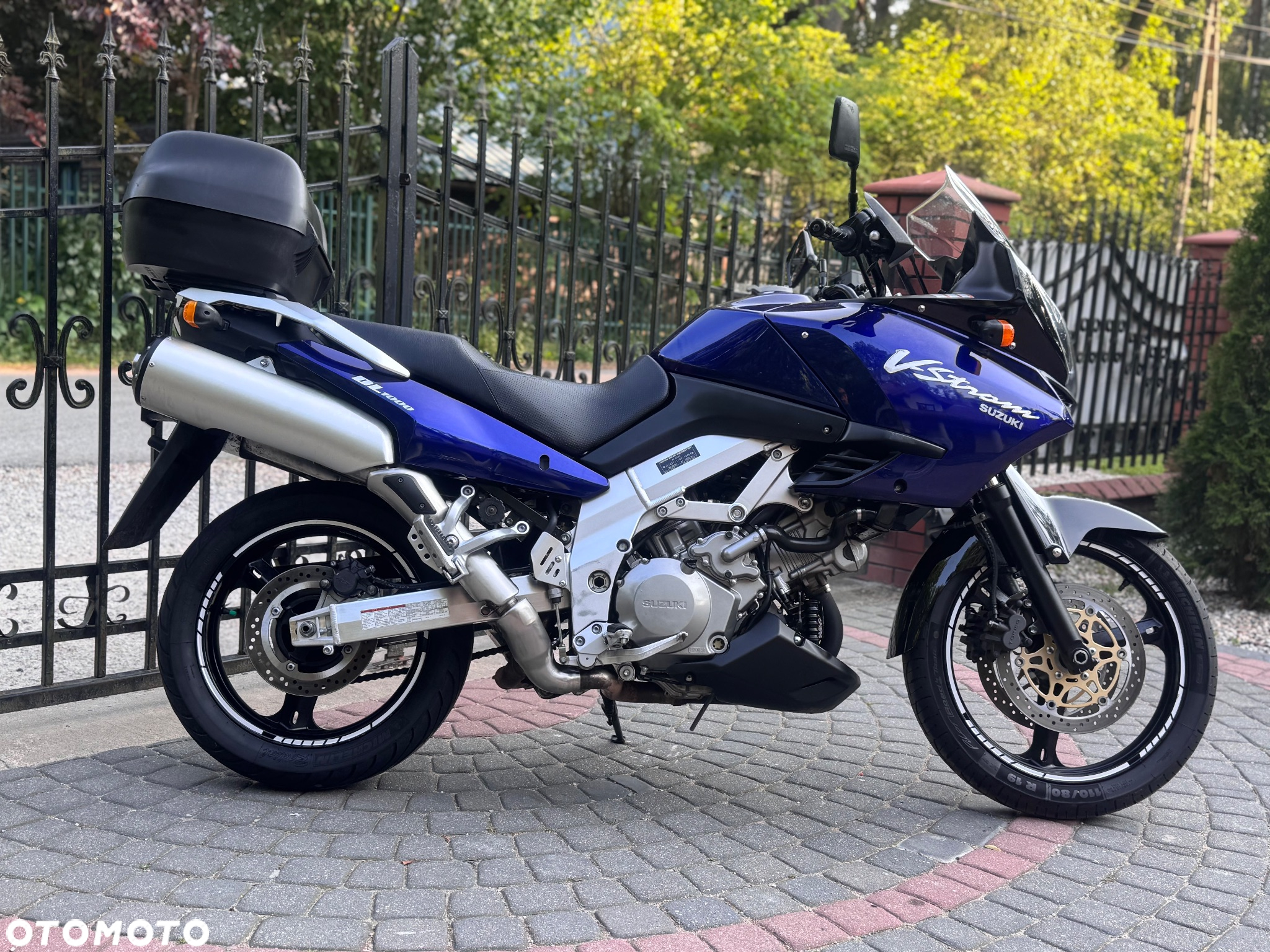 Suzuki DL - 3