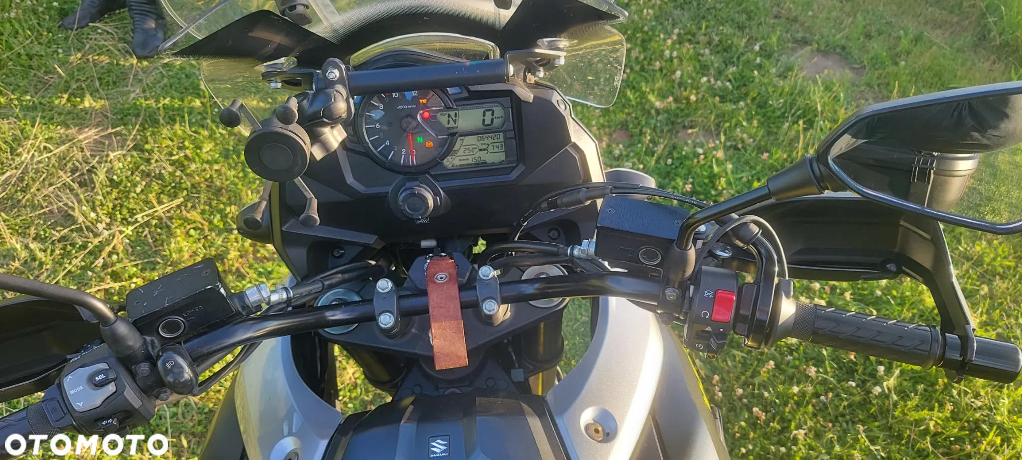 Suzuki DL