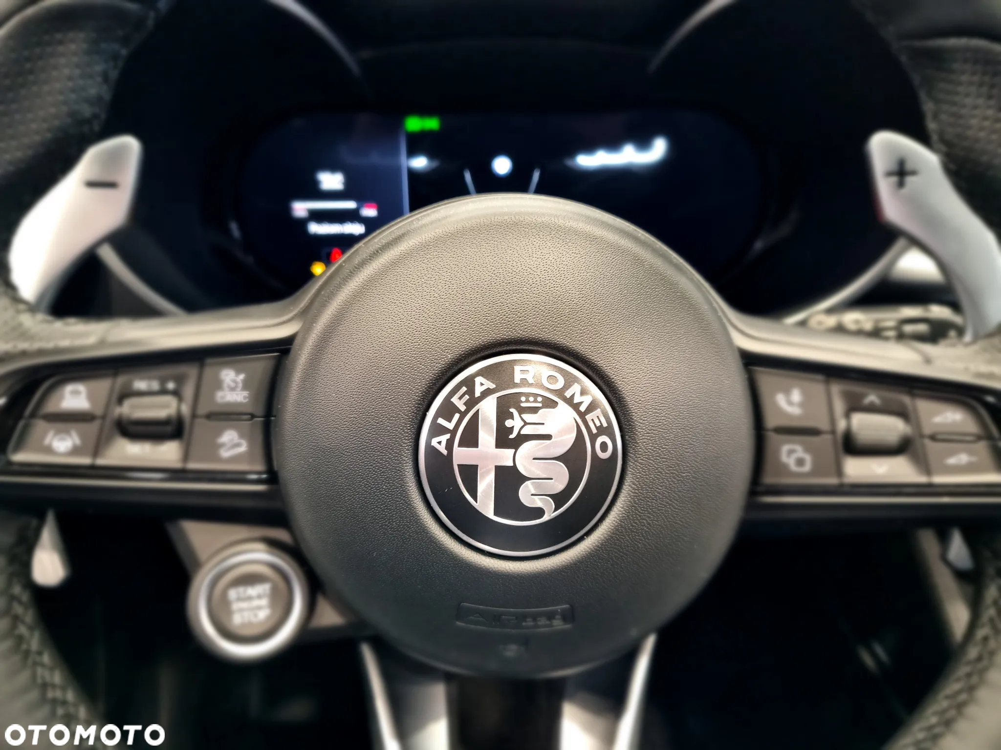 Alfa Romeo Stelvio 2.0 Turbo Veloce Q4 - 11