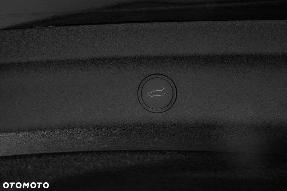 Tesla Model Y Performance Dual Motor AWD - 27