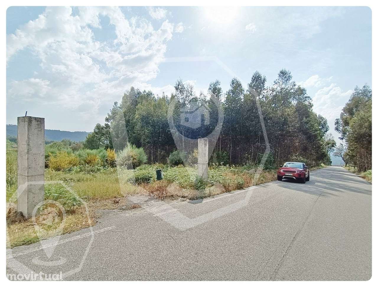 TERRENO - CAMPIA - VISEU - Grande imagem: 5/17