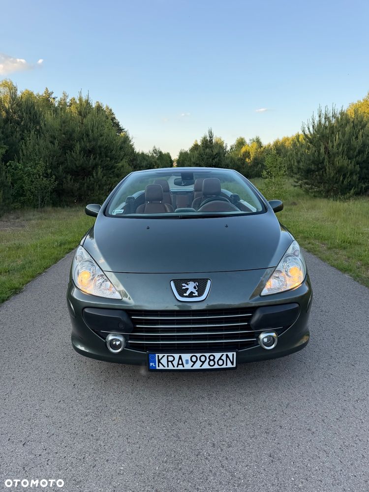 Peugeot 307 CC 2.0 Intense - 10