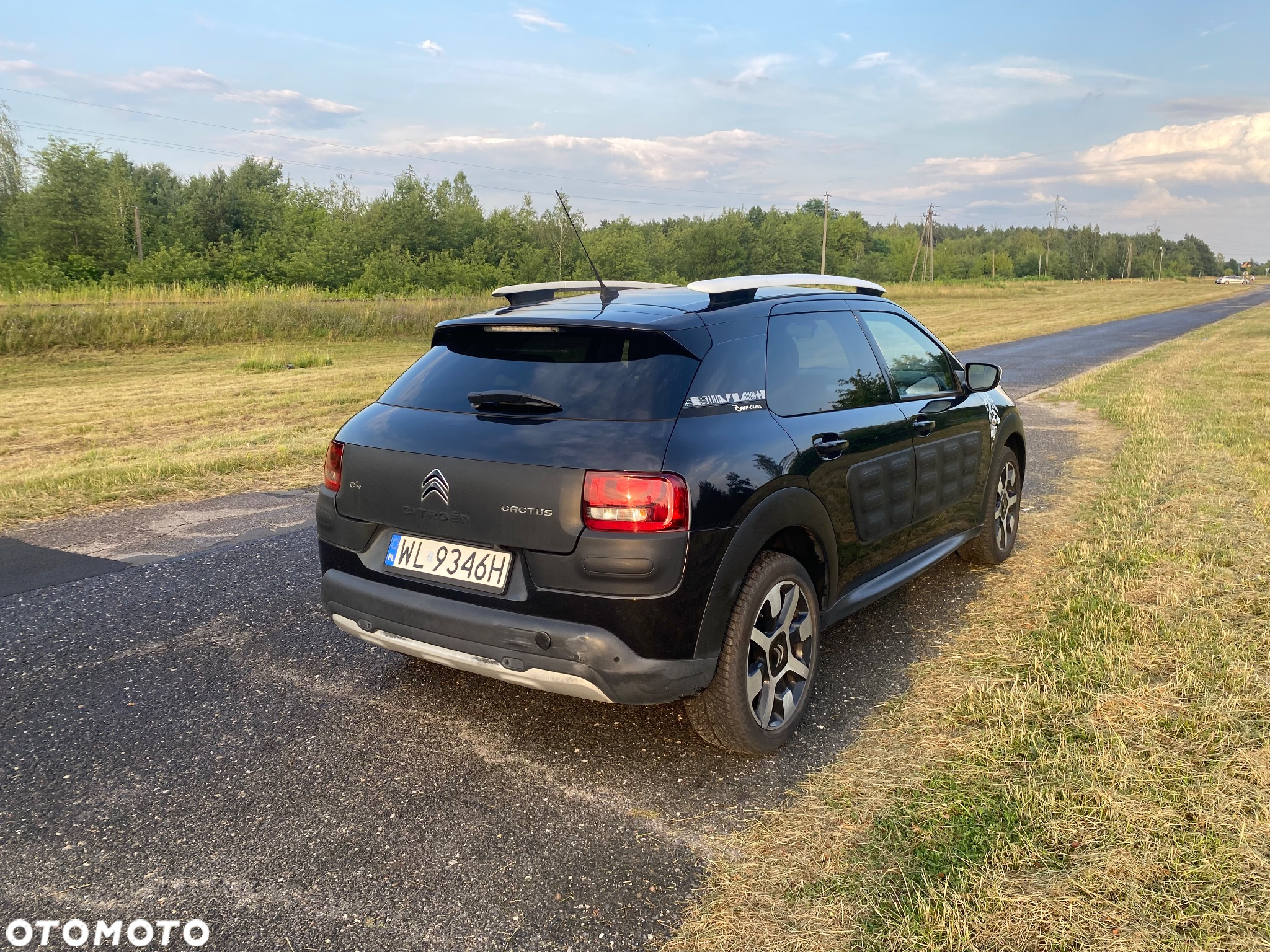 Citroën C4 Cactus 1.2 PureTech Rip Curl S&S - 4