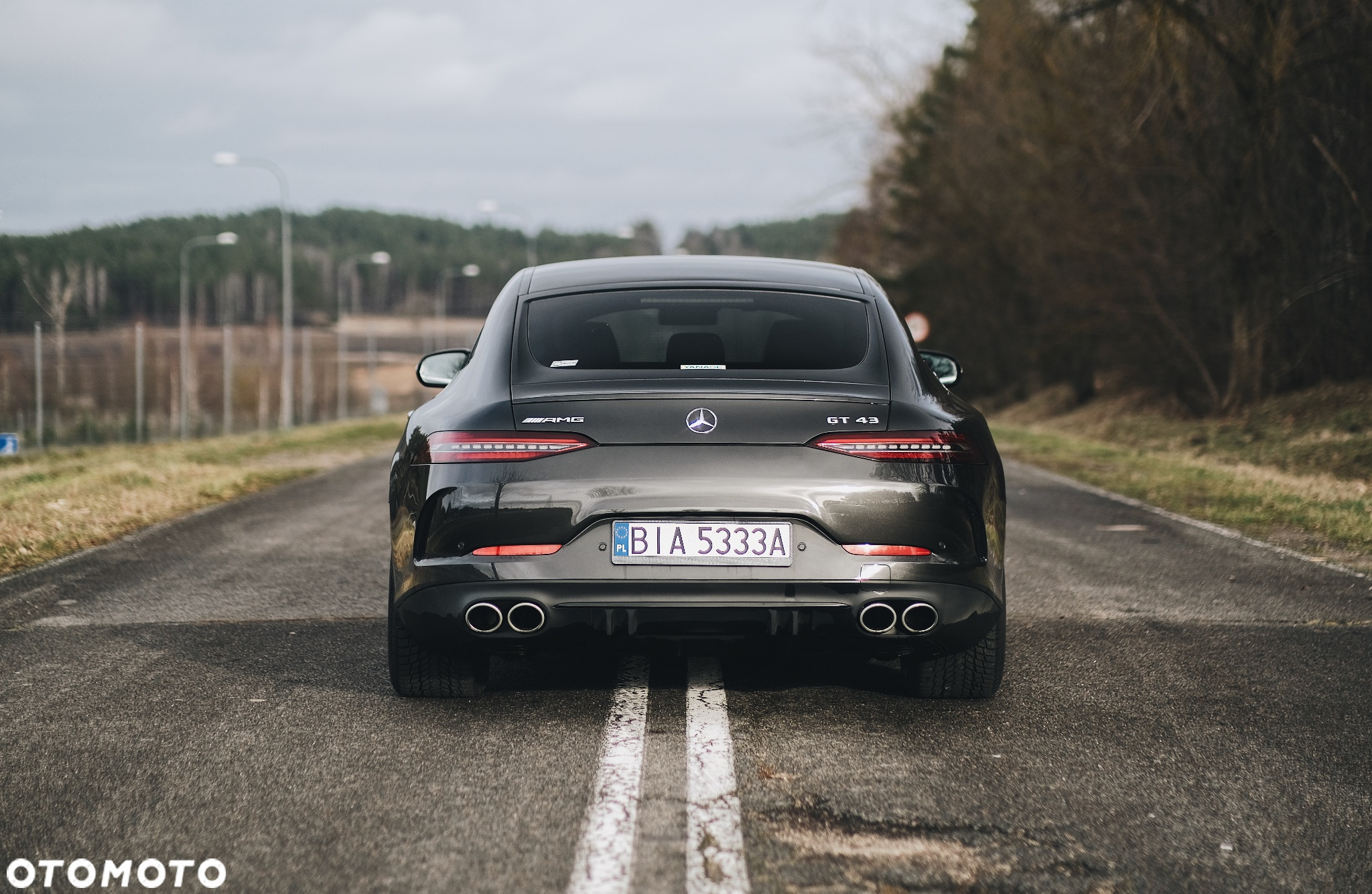 Mercedes-Benz AMG GT 43 4Matic+ Coupe 4D Speedshift TCT 9G - 29
