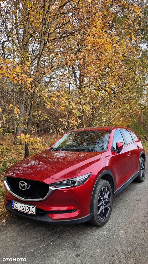 Mazda CX-5 2.0 Skyenergy 2WD - 2