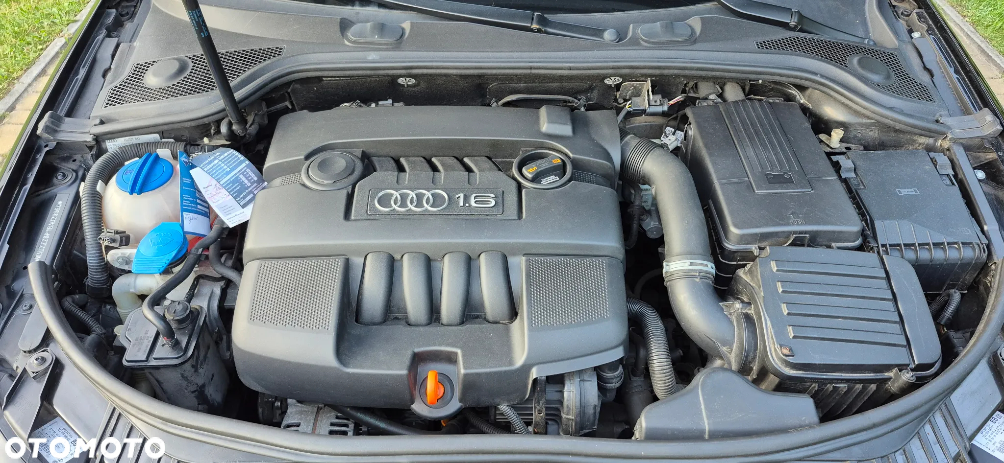 Audi A3 1.6 Sportback Ambition - 18