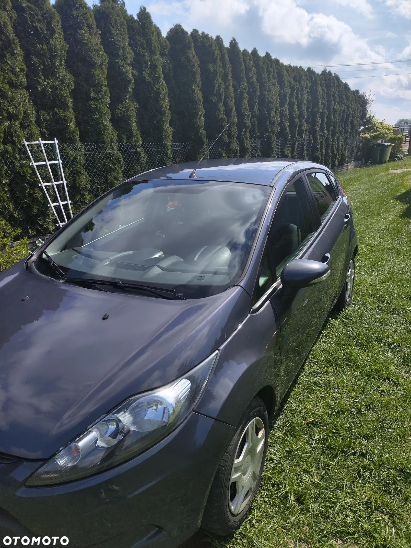 Ford Fiesta 1.6 TDCi DPF Ghia - 12
