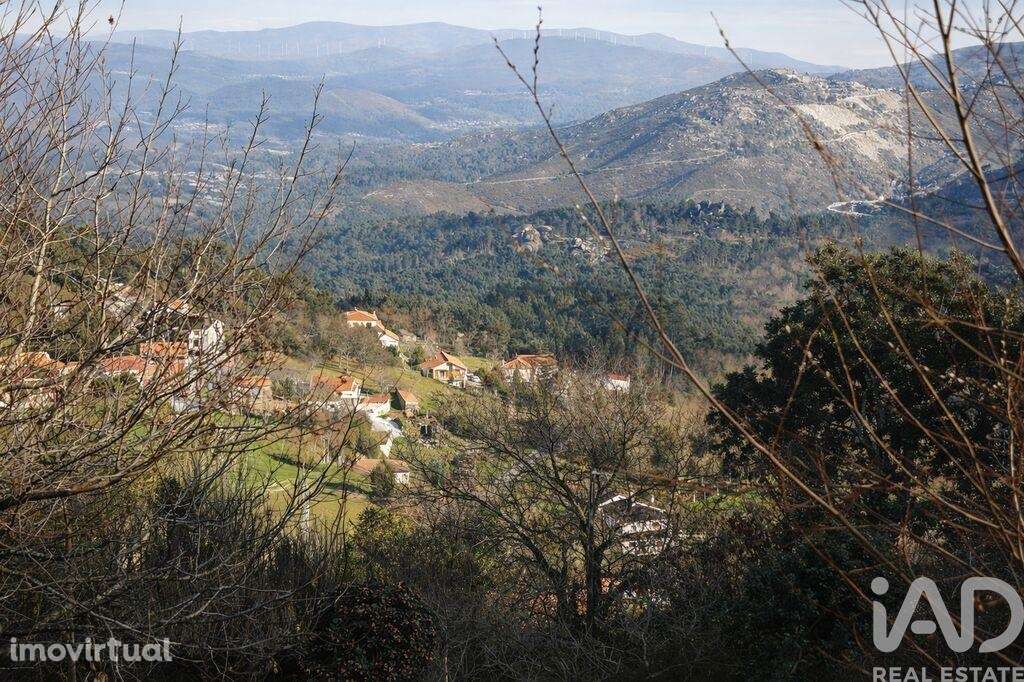 Terreno para construção em Gondomil e Sanfins - Grande imagem: 4/14