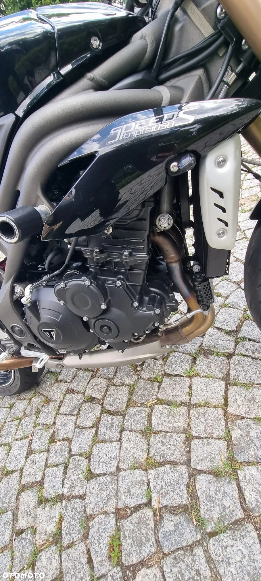 Triumph Speed Triple - 12