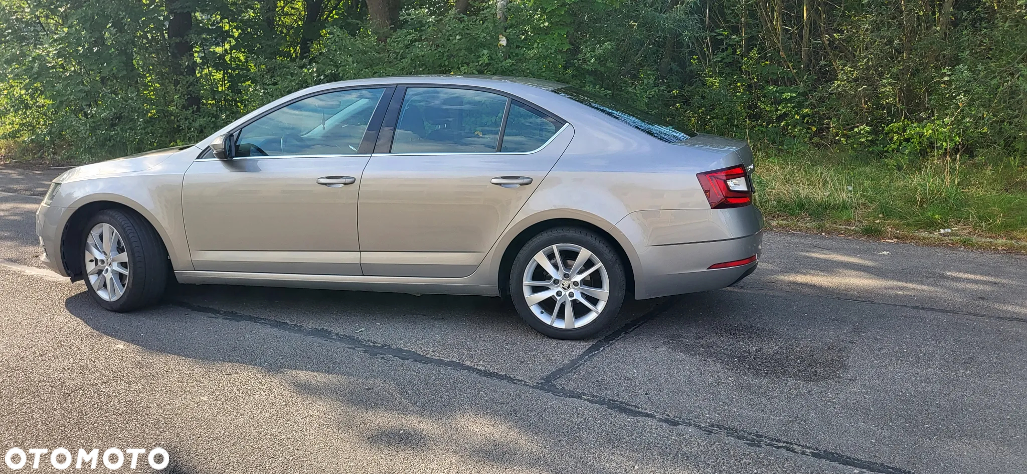 Skoda Octavia - 7