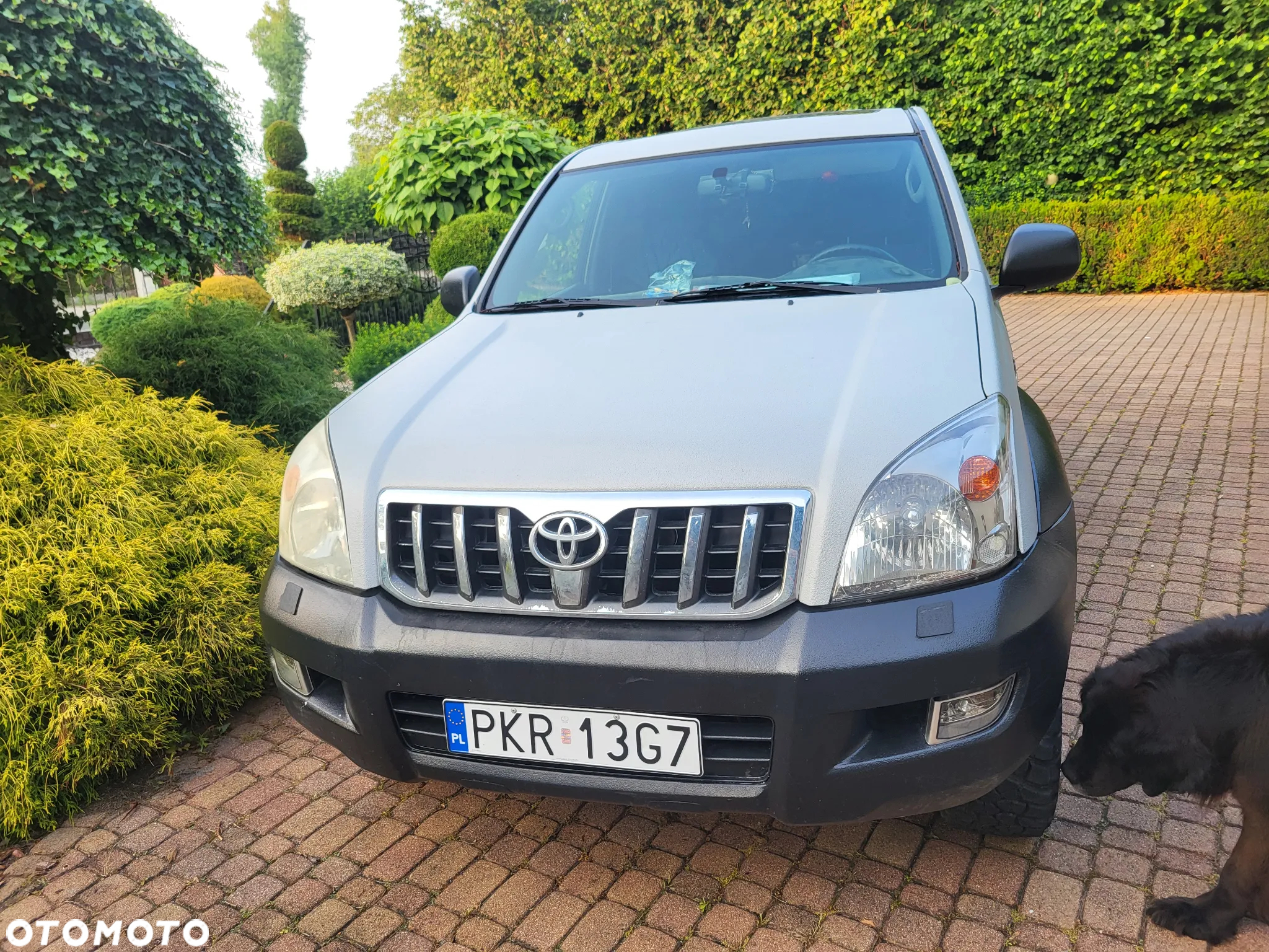 Toyota Land Cruiser 3.0 D Luna - 7