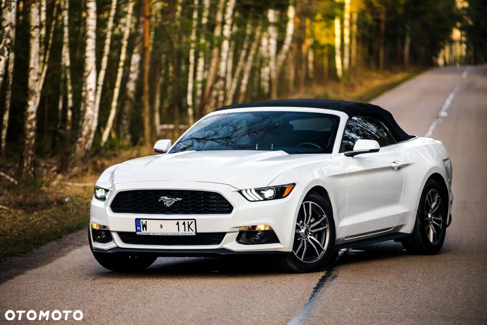 Ford Mustang Cabrio 2.3 Eco Boost - 4