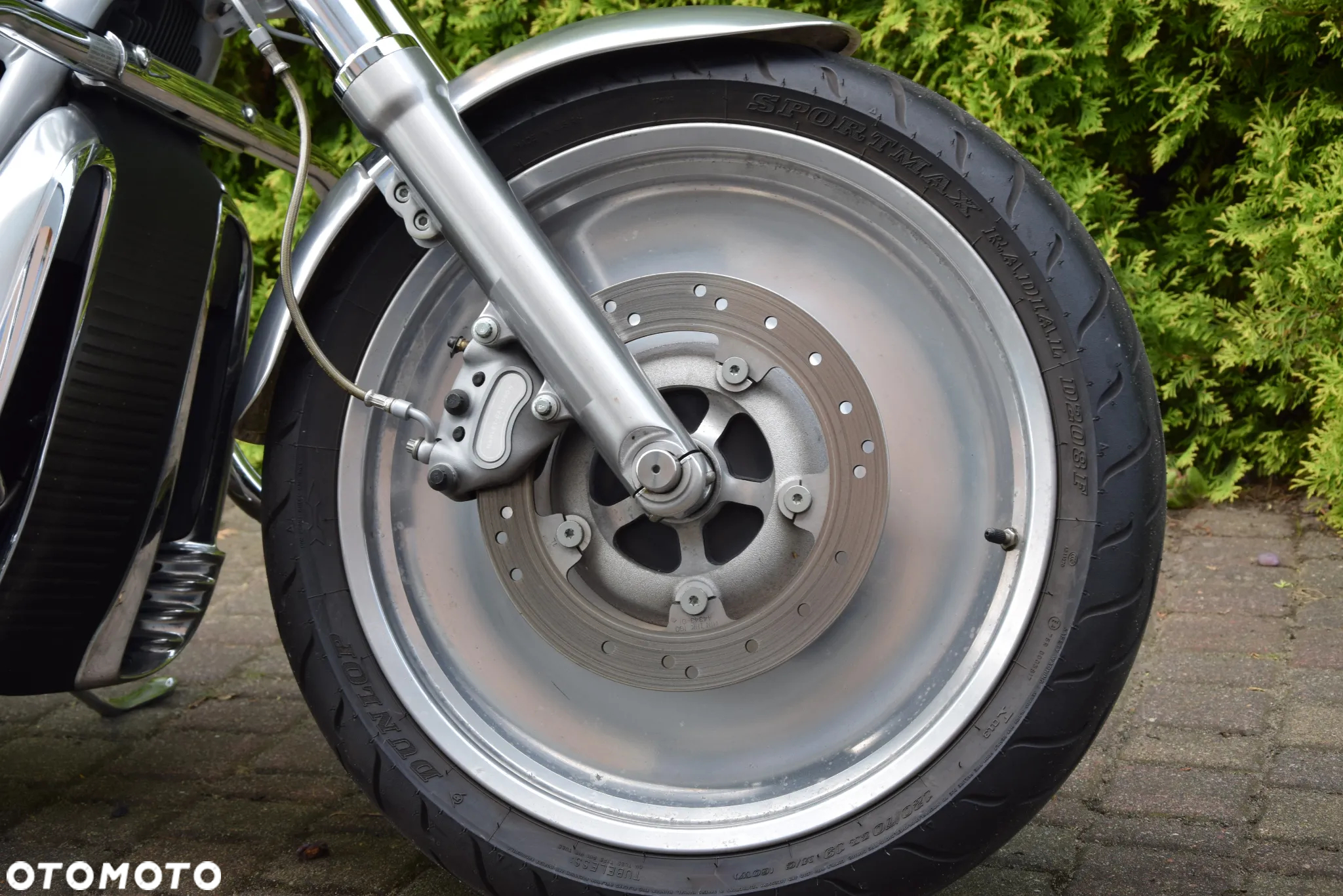 Harley-Davidson Softail V-Rod - 7