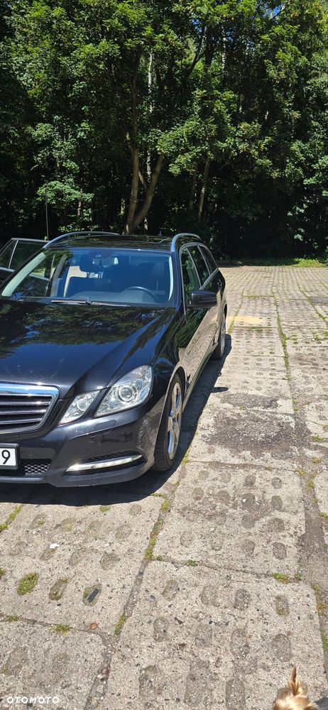 Mercedes-Benz Klasa E 250 CDI DPF BlueEFFICIENCY Automatik Avantgarde - 38