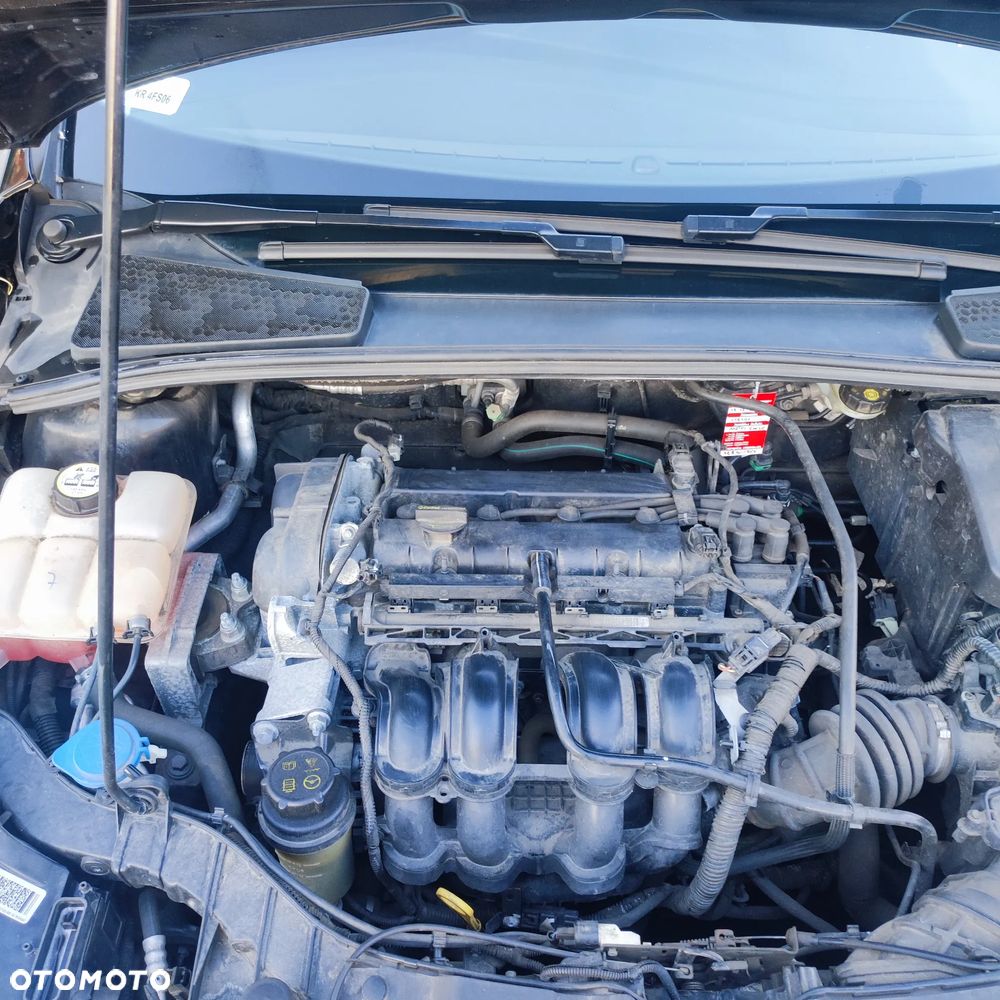 Ford Focus 1.6 Trend Sport - 10