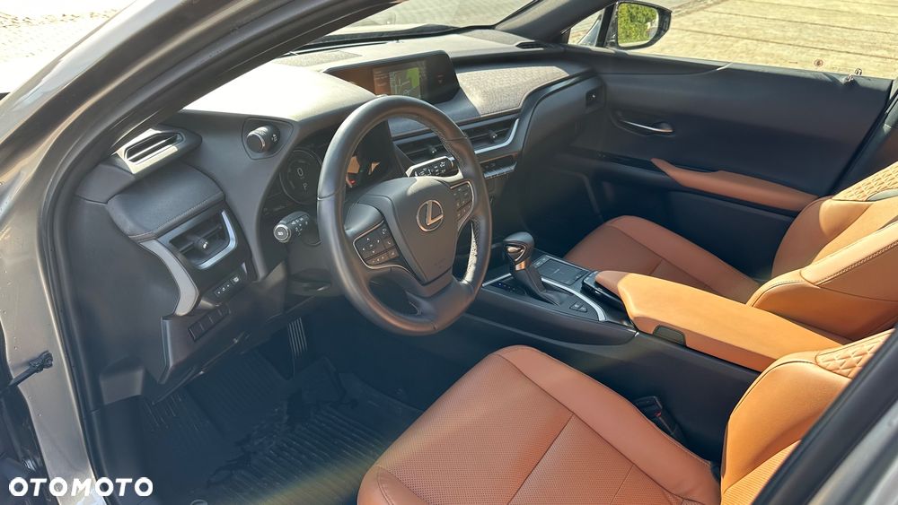 Lexus UX 250h GPF Prestige AWD - 21