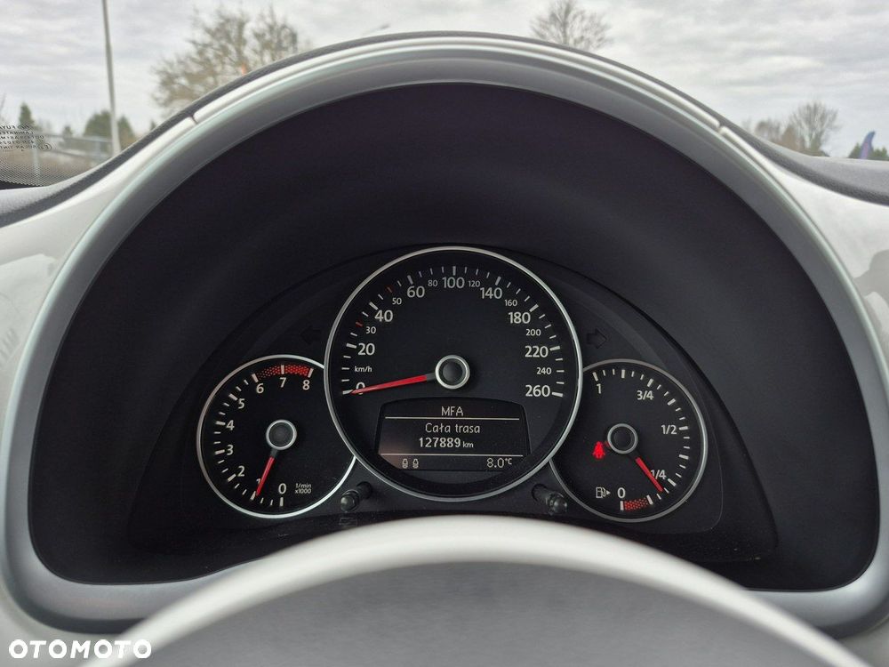 Volkswagen Beetle - 26