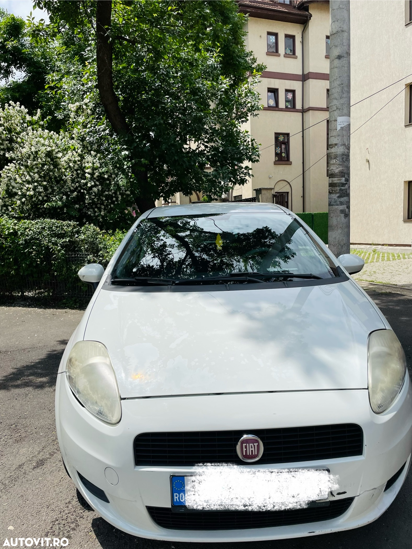 Fiat Punto 1.2 Classico - 16