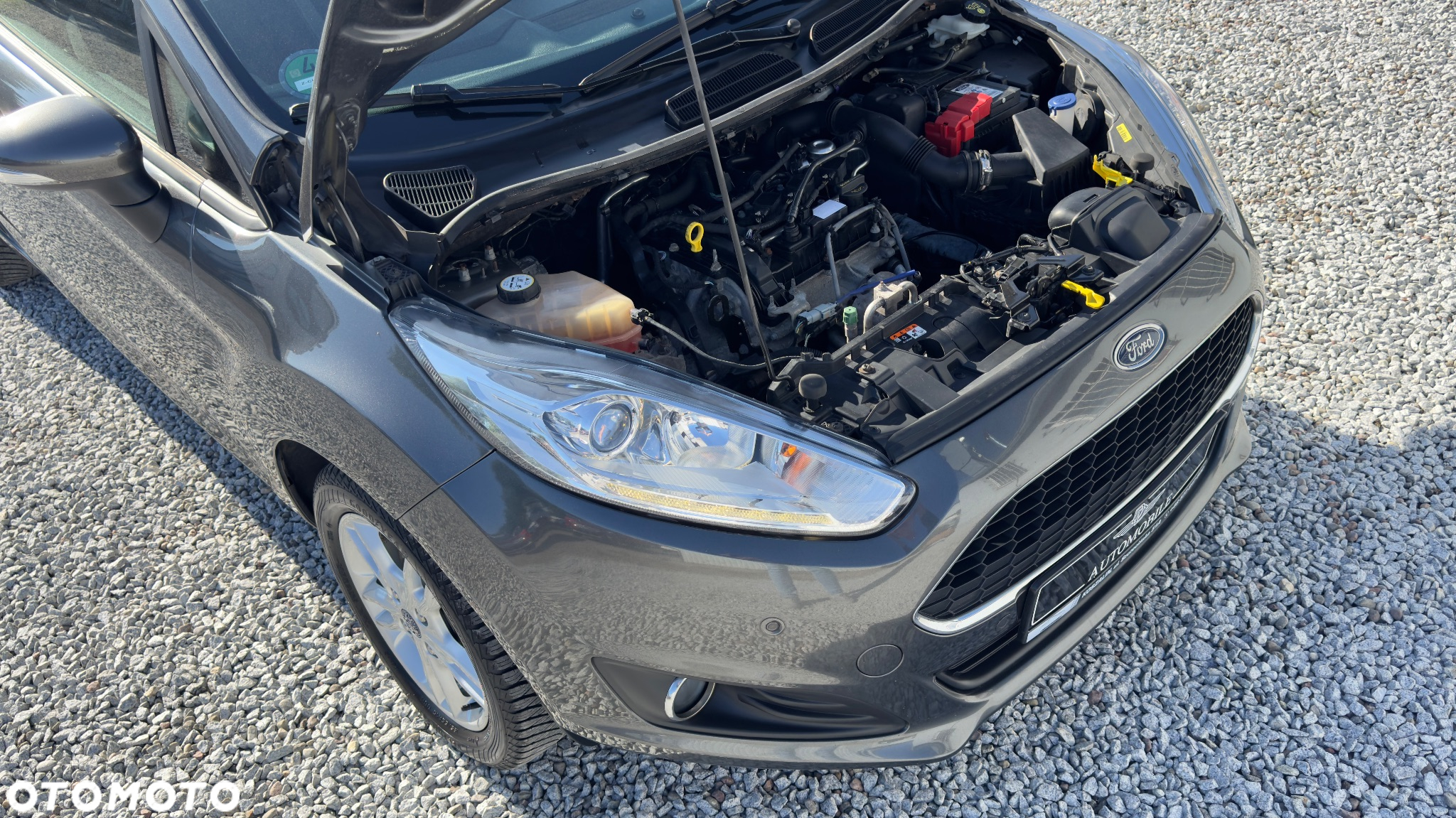 Ford Fiesta - 24