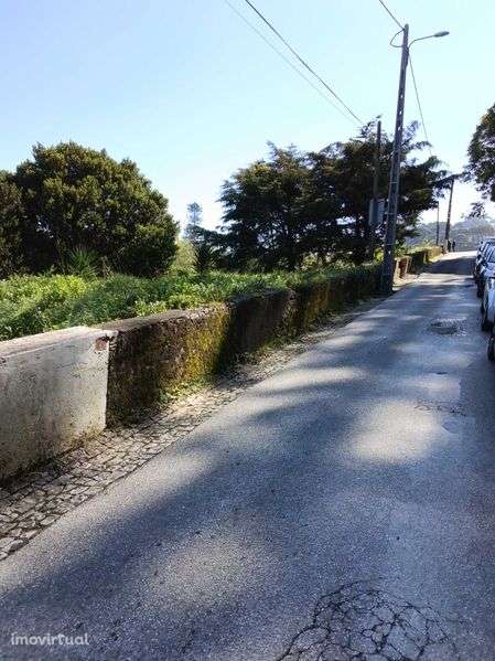 Terreno no centro da vila Sintra. - Grande imagem: 3/11