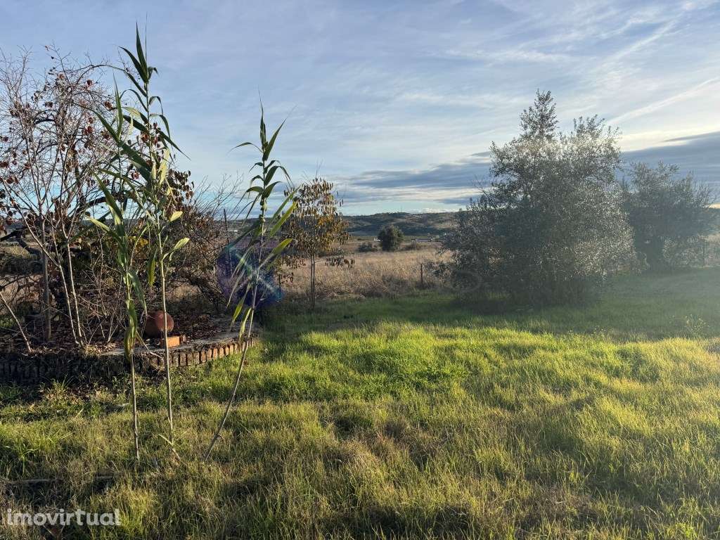 Monte Alentejano de 4 Hectares na região de Cabeção / Mora - Privac... - Grande imagem: 5/30