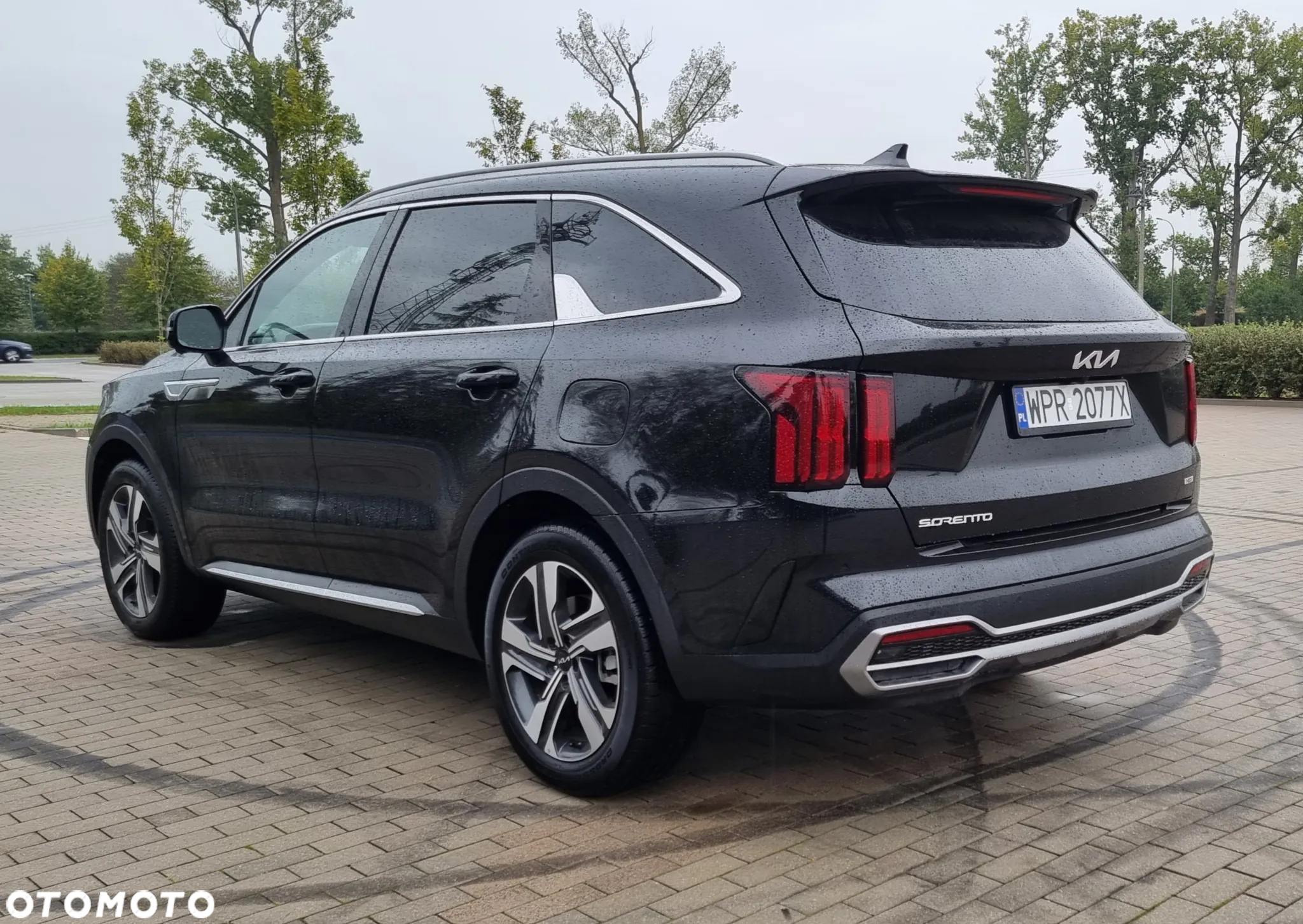Kia Sorento - 3