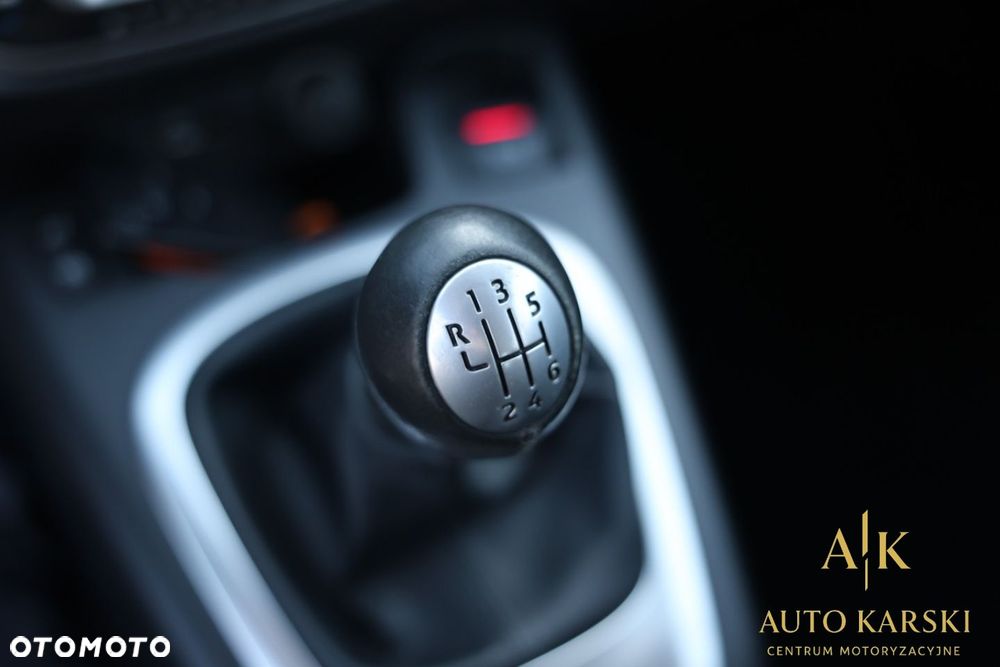 Renault Scenic - 29