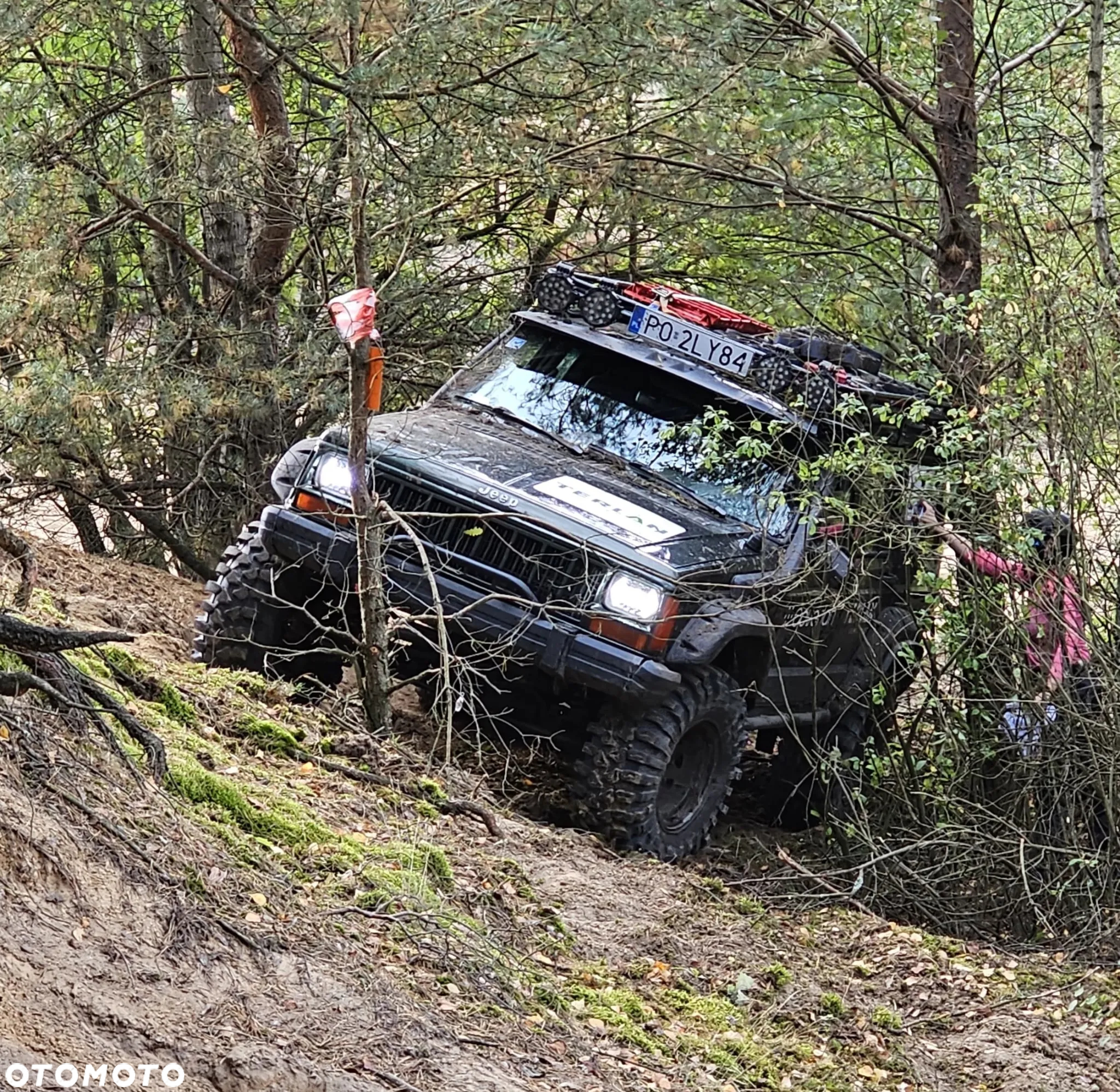 Jeep Cherokee 4.0 Country - 6